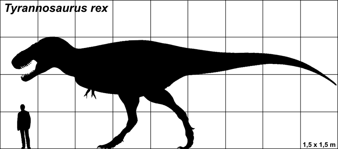 borduurwerk diepvries Inefficiënt Dinosauriërs op raster - Dinosaurussen